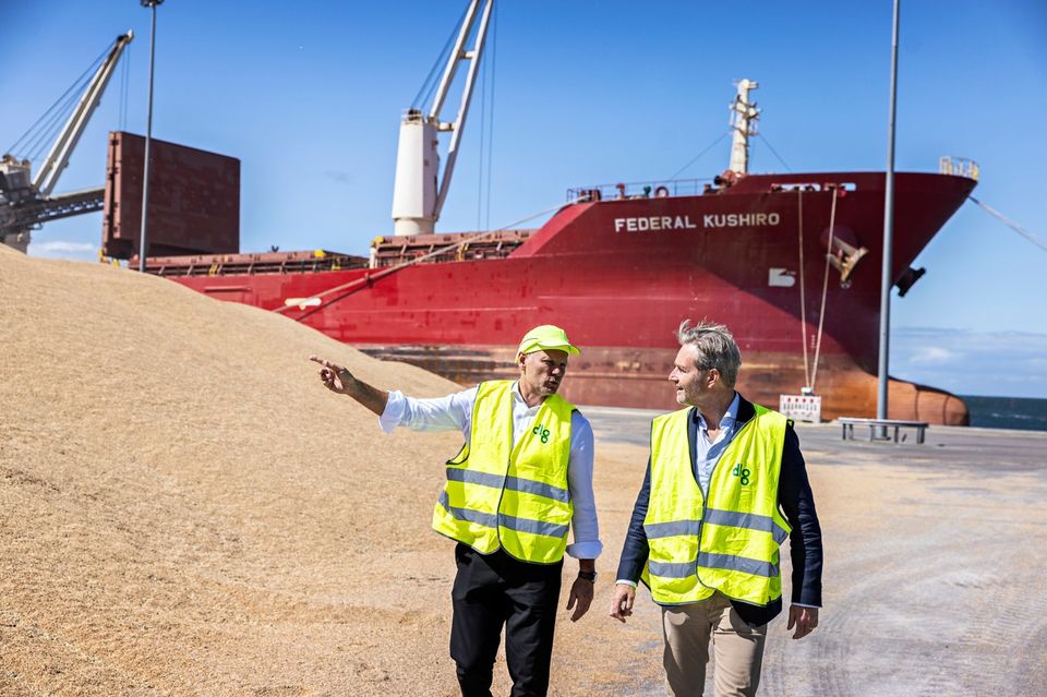 Ny analyse: Kvælstofregler kan skære 1,8 millioner ton af dansk kornproduktion